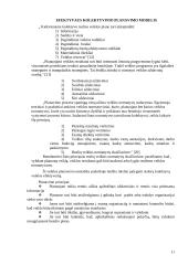 Efektyvaus planavimo metodai 11 puslapis