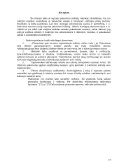 Efektyvaus planavimo metodai 13 puslapis