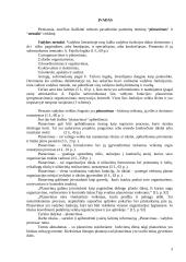 Efektyvaus planavimo metodai 3 puslapis