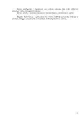 Efektyvaus planavimo metodai 4 puslapis