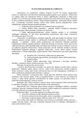 Efektyvaus planavimo metodai 5 puslapis