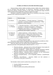 Efektyvaus planavimo metodai 6 puslapis