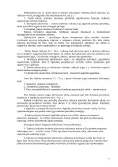 Efektyvaus planavimo metodai 7 puslapis