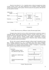 Efektyvaus planavimo metodai 8 puslapis