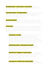 Organizmų įvairovė ir evoliucija 5 puslapis