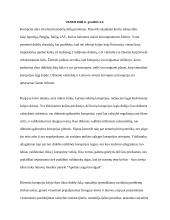 Efektyviausi kovos su korupcija metodai: pasaulinė patirtis ir Lietuvos atvejis 2 puslapis