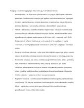 Efektyviausi kovos su korupcija metodai: pasaulinė patirtis ir Lietuvos atvejis 4 puslapis