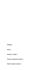 Egipto skulptūrų ypatybės 9 puslapis