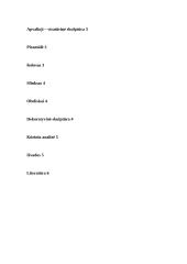 Egipto skulptūrų ypatybės 10 puslapis