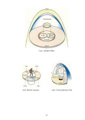 Kas yra egzistencializmas 13 puslapis