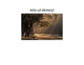 Parkai, sodai ir skverai 18 puslapis