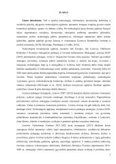 Technologinio ugdymo pedagogų rengimo Lietuvoje, Didžiojoje Britanijoje ir Suomijoje lyginamoji analizė  2 puslapis