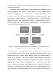 Technologinio ugdymo pedagogų rengimo Lietuvoje, Didžiojoje Britanijoje ir Suomijoje lyginamoji analizė  6 puslapis