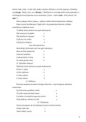 Eilėdaros pagrindai 6 puslapis