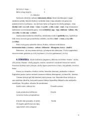 Eilėdaros pagrindai 7 puslapis