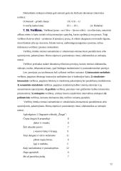 Eilėdaros pagrindai 10 puslapis