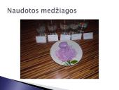 Vandens kietumo nustatymo tyrimas 5 puslapis