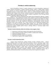 Eismo saugumo sistema Lietuvoje 6 puslapis