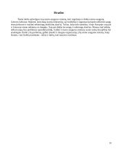 Eismo saugumo sistema Lietuvoje 10 puslapis