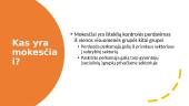Mokesčių sistema (skaidrės) 2 puslapis