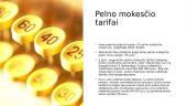Mokesčių sistema (skaidrės) 13 puslapis