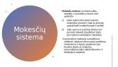 Mokesčių sistema (skaidrės) 4 puslapis