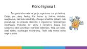 Asmens higiena 3 puslapis