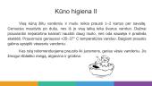 Asmens higiena 4 puslapis