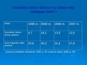 Socialinis darbas su socialinės rizikos šeimomis  3 puslapis