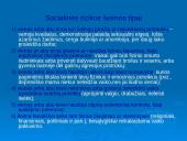 Socialinis darbas su socialinės rizikos šeimomis  4 puslapis