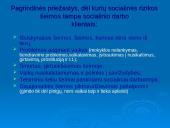 Socialinis darbas su socialinės rizikos šeimomis  6 puslapis