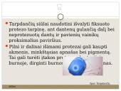 Dantų protezų higieninė priežiūra 7 puslapis