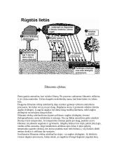 Ekologija ir aplinkosauga 3 puslapis