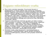 Teigiamo mikroklimato  kūrimas grupėje  2 puslapis