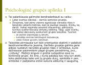 Teigiamo mikroklimato  kūrimas grupėje  7 puslapis