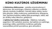 Fizinė ir emocinė vaiko aplinka 16 puslapis