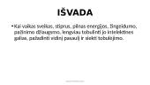 Fizinė ir emocinė vaiko aplinka 19 puslapis