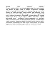 Vaikų per didelis ir per mažas svoris 2 puslapis