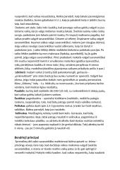 Kaip išmokyti vaiką valgyti savarankiškai? 2 puslapis