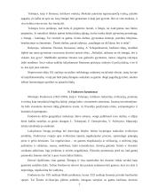 Ekologinės etikos priešistorė 7 puslapis