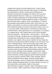 Darželinukų mityba pagal sveikos mitybos piramidės rekomendacijas 3 puslapis