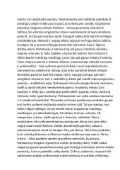 Darželinukų mityba pagal sveikos mitybos piramidės rekomendacijas 5 puslapis