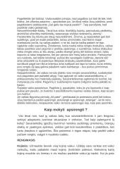 Kaip išmokyti vaiką apsirengti savarankiškai? 2 puslapis