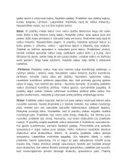 Kaip išmokyti vaiką apsirengti savarankiškai? 3 puslapis