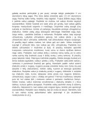 Kaip išmokyti vaiką apsirengti savarankiškai? 4 puslapis