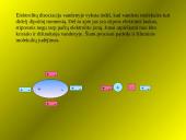 Elektros srovė skysčiuose (pristatymas) 6 puslapis