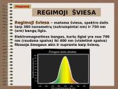 Elektomagnetinų bangų skalė 11 puslapis