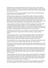 Altorių šešėly - santrauka 17 puslapis