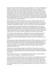 Altorių šešėly - santrauka 3 puslapis