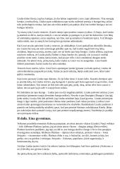 Altorių šešėly - santrauka 5 puslapis